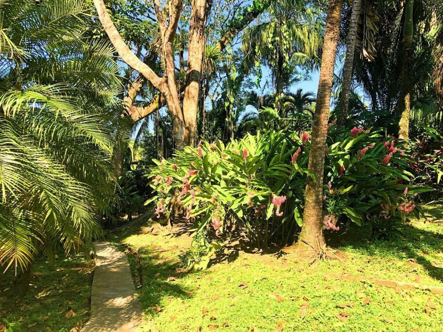 Villa Del Idaan Bocas Town Ngoại thất bức ảnh